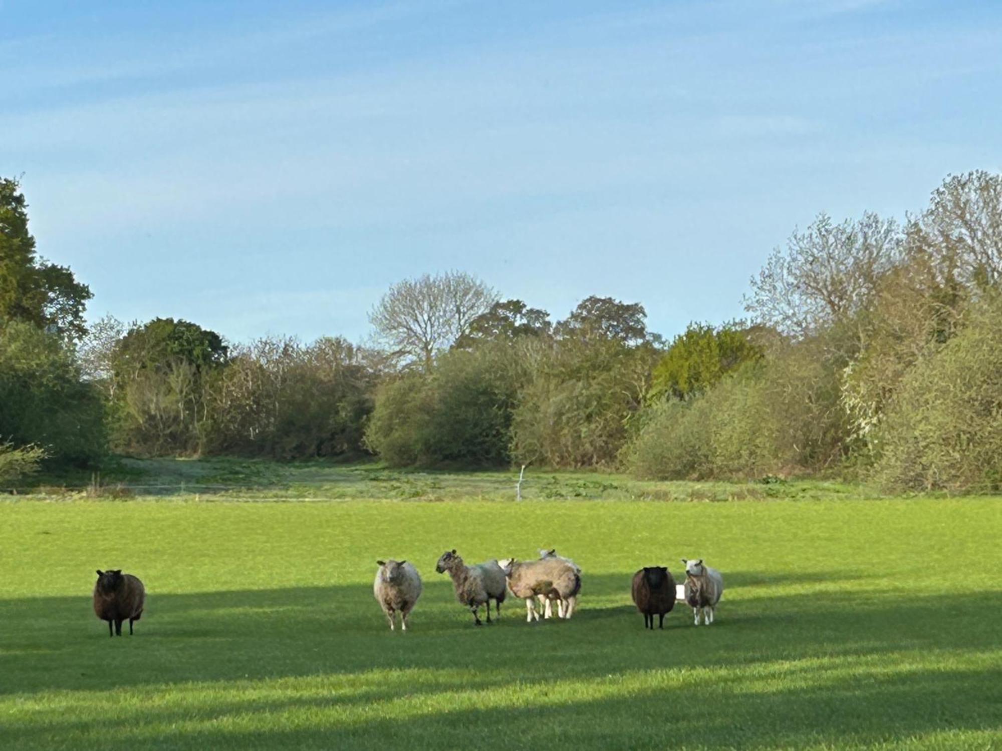 Oak Barn In The Cotswolds Near Moreton In Marsh Shipston-on-Stour Exteriér fotografie